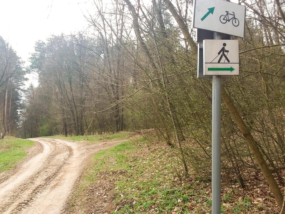 Dworek Akacja Uslugi Hotelarskie Janowiec Luaran gambar