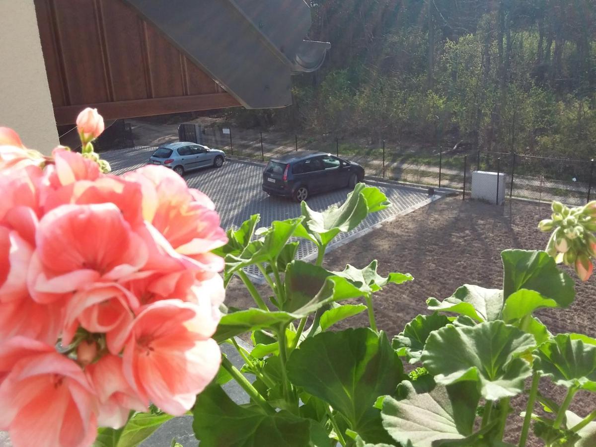 Dworek Akacja Uslugi Hotelarskie Janowiec Luaran gambar
